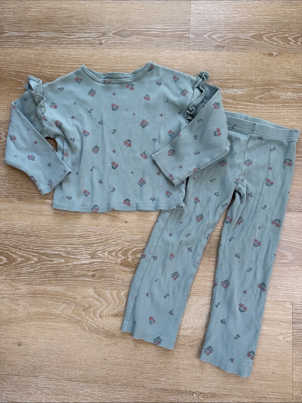 Carter’s Floral Long Sleeve and Pants Set Size 4T